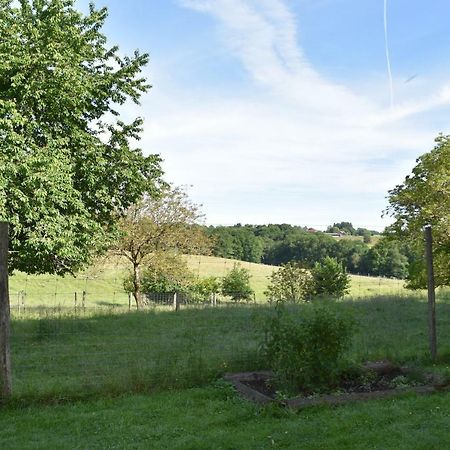 Les Cerfs De Laplaud Bed and Breakfast Glandon Esterno foto